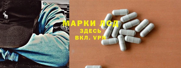 PSILOCYBIN Богородицк