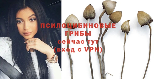 PSILOCYBIN Богородицк