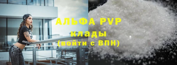 стаф Богородск
