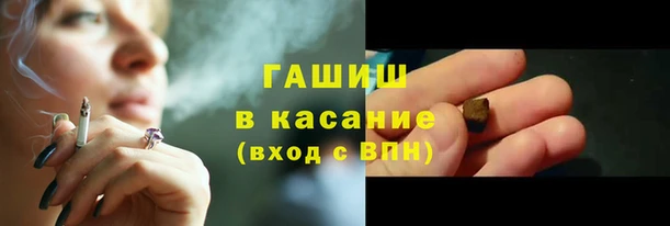 стаф Богородск