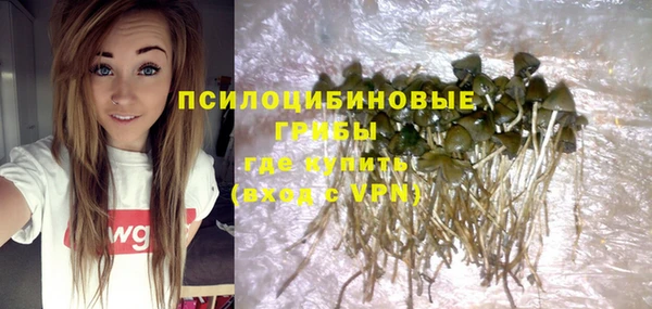 PSILOCYBIN Богородицк