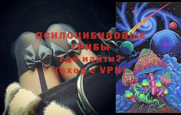 PSILOCYBIN Богородицк